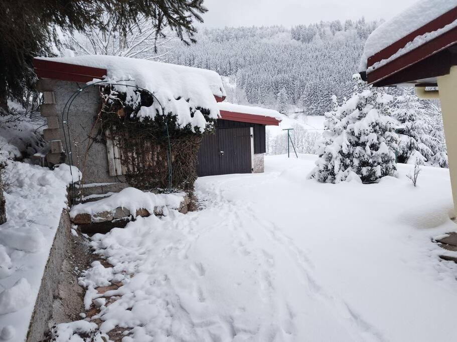 Maison De Montagne Vue Magnifique Ventron Exterior foto