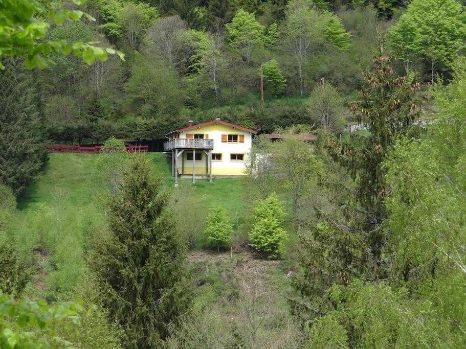 Maison De Montagne Vue Magnifique Ventron Exterior foto
