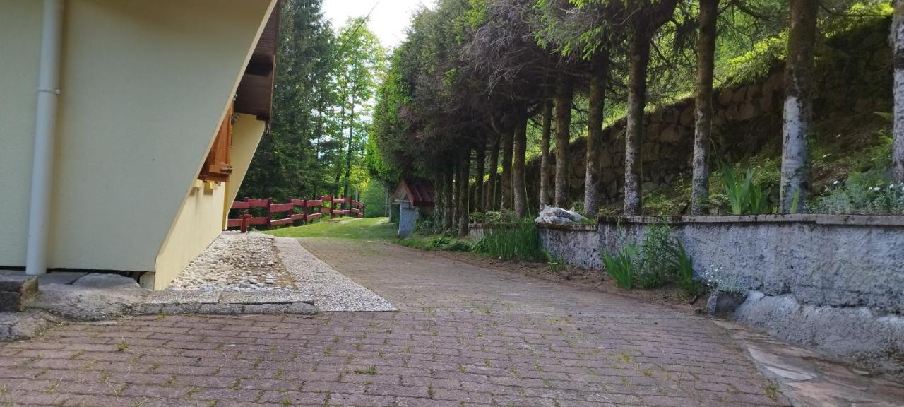 Maison De Montagne Vue Magnifique Ventron Exterior foto